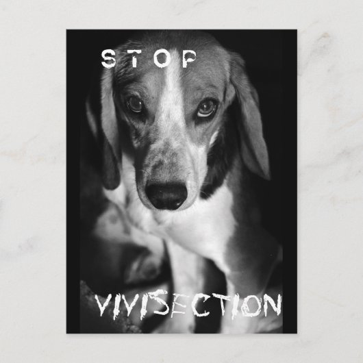 Stop vivisectie - Briefkaart (Voorkant)