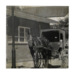 Stop voor een spelletje, een paardenpaard bij stop tegeltje