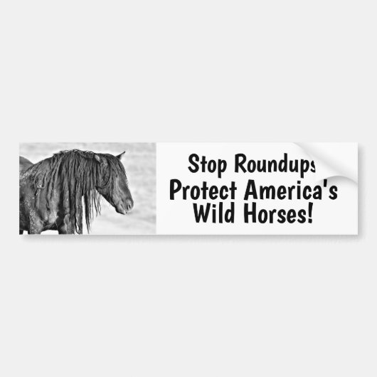 Stop Wild Horse Roundups Bumpersticker (Voorkant)