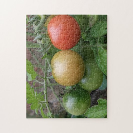 Stoplicht Tomaten Puzzel Legpuzzel (Verticaal)