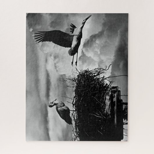 Stores en Noir & Blanc, Puzzle Jigsaw (Vertical)