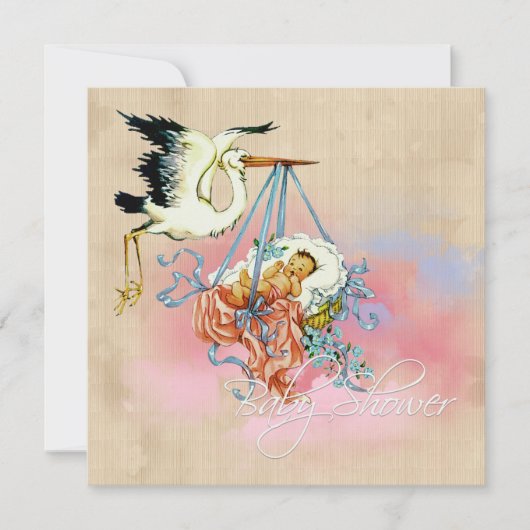 Stork Baby Boy Shower Kaart (Voorkant)
