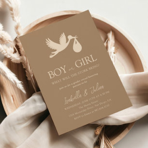 Stork Baby Delivery Boy of Girl Gender Reveal Kaart
