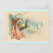 STORK BABY GIRL SHOWER 2 UITNODIGING BRIEFKAART (Voorkant)