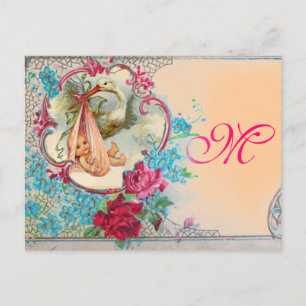 STORK BABY GIRL SHOWER PINK BLAUWE MONOGRAM UITNODIGING BRIEFKAART