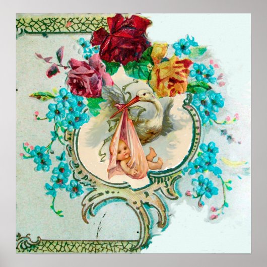 STORK BABY GIRL SHOWER POSTER (Voorkant)