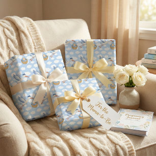 Stork Delivery Baby Boy Wrapping Paper – Schattige Cadeaupapier