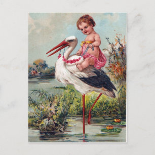 Stork en Baby vanaf 1909 Briefkaart