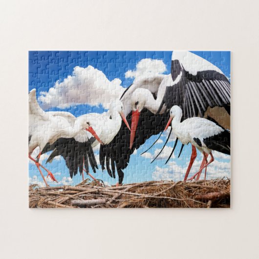 Stork Family, Jigzaag Puzzle Legpuzzel (Horizontaal)