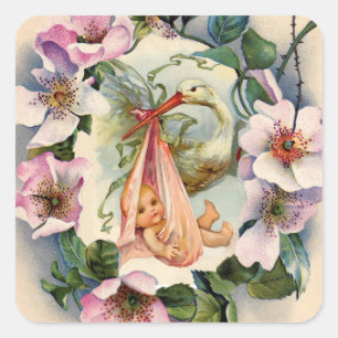 STORK GIRL-BABY SHOWER MET PINK WILD-ROZEN VIERKANTE STICKER