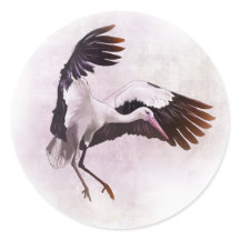 Stork