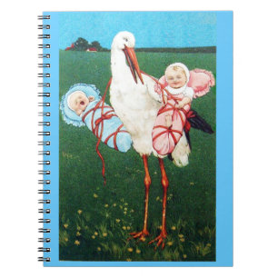 STORK TWIN BABY SHOWER, roze, Blauwgroen blauw Notitieboek