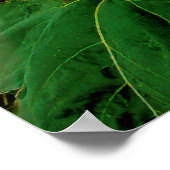 Storm augustus, poster (Hoek)