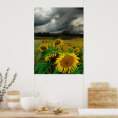 Storm augustus, poster (Keuken)