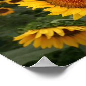 Storm augustus poster (Hoek)