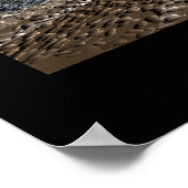 Storm Collector Poster (Hoek)