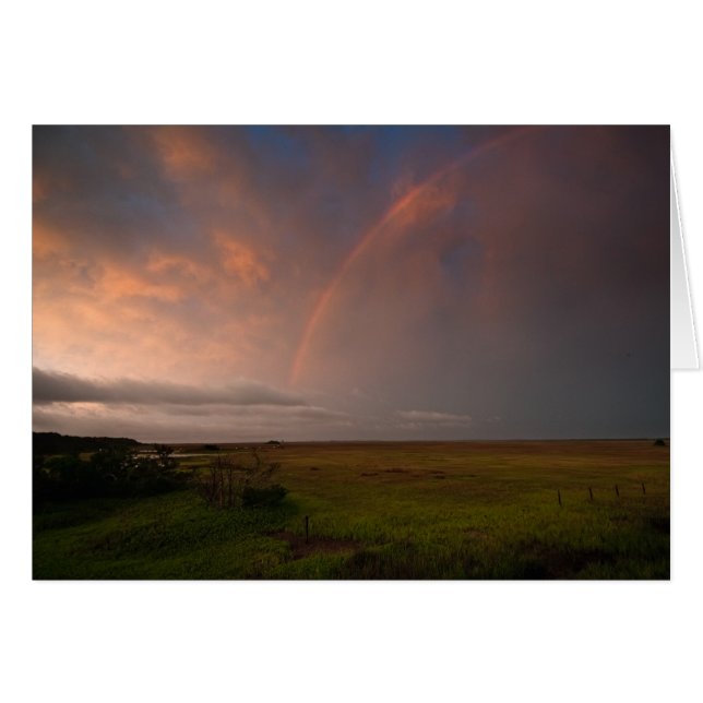 Storm en Bow (Voorkant Horizontaal)