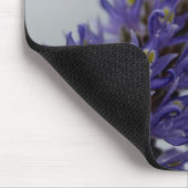 Storm lavender muismat (Hoek)