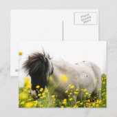 Storm op een briefkaart (Voorkant / Achterkant)