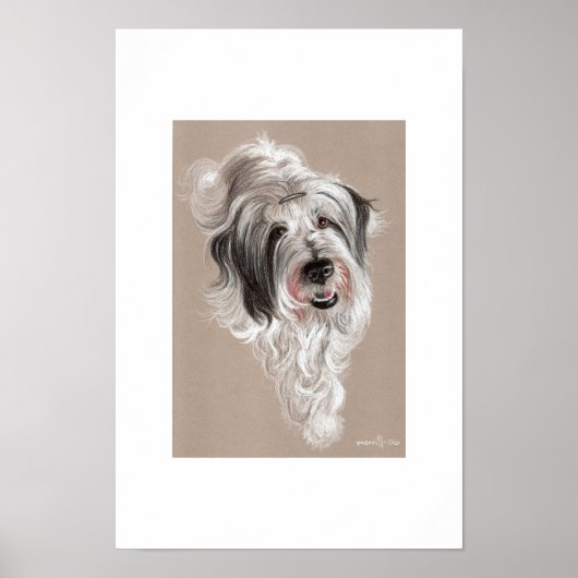 Storm Poster (Voorkant)