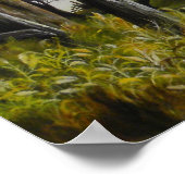 Storm Poster olie (Hoek)