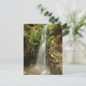 Storm Runoff briefkaart (Staand voorkant)