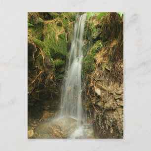 Storm Runoff briefkaart