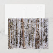 Storm Winter Ice in het bos Briefkaart (Voorkant / Achterkant)