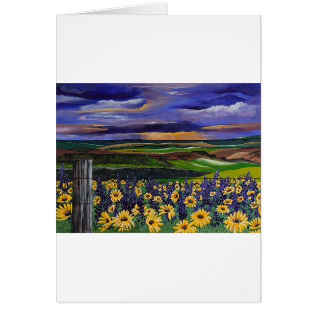 Storm zomer (Voorkant)