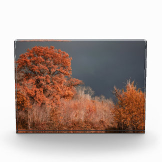 Stormachtige herfst fotoblokken