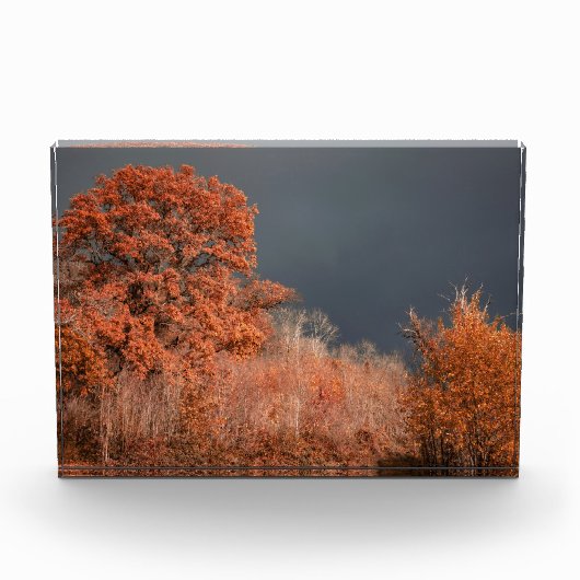 Stormachtige herfst fotoblokken (Voorkant)