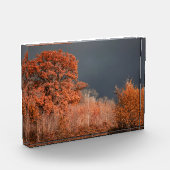 Stormachtige herfst fotoblokken (Links)