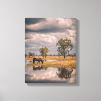 Stormachtige lucht paard vijver reflectie kunst