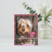 Stormen van het Briefkaart van Life (Staand voorkant)