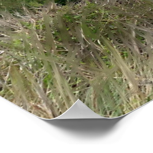 Stormy Beach scène Poster (Hoek)