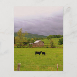 Stormy Day Briefkaart