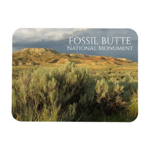 Stormy Sky Fossil Butte National Monument Wyoming Magneet