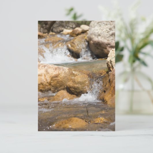 Stormy stream in het voorjaar (Staand voorkant)