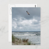 Stormy Zee Briefkaart (Voorkant / Achterkant)