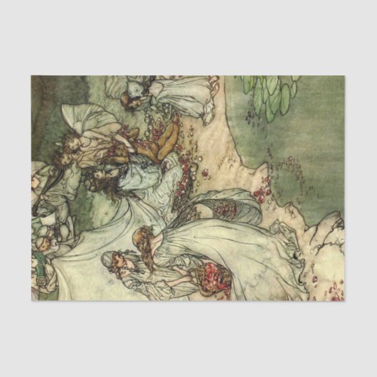 Storybook-dames 2  debetpapieren tissuepapier (Voorkant)