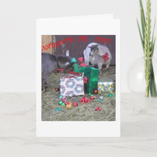 "Stout of Braaf" Feestdagen Kaart (Voorkant)