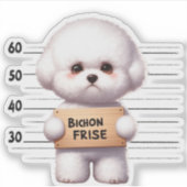 Stoute Bichon Frise Sticker (Voorkant)