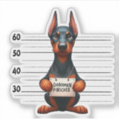 Stoute Dobermannenscher Sticker (Voorkant)