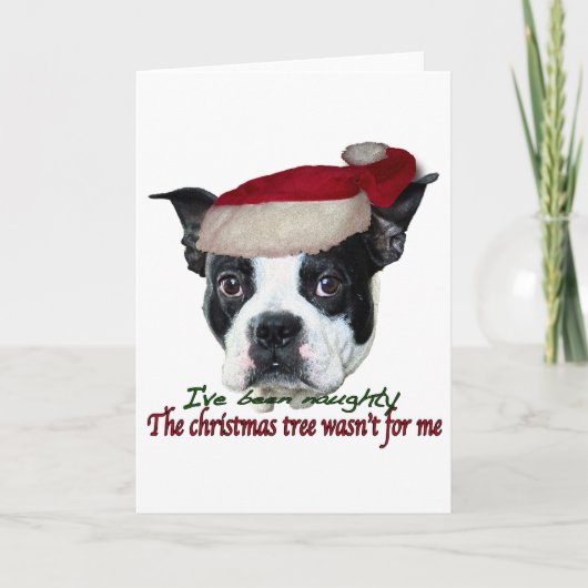 Stoute hond feestdagen kaart (Voorkant)