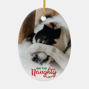 Stoute Schattige Hond 2 Foto Keramisch Ornament
