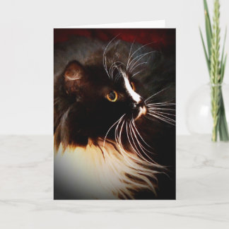 Straal maanlicht - de Kaart van de Nota van de