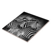 Straal van Zebra Tegeltje (Zijkant)