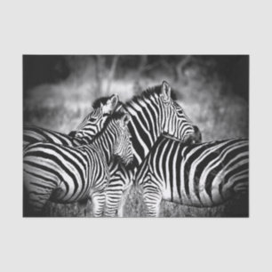 Straal van Zebra Tissuepapier