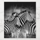 Straal van Zebra Wijn Etiket (Enkel label)