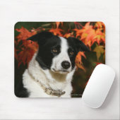 Straat Collie Autumn Muismat (Met muis)